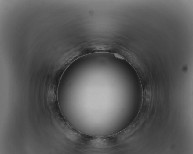 X0000089950422200707061124