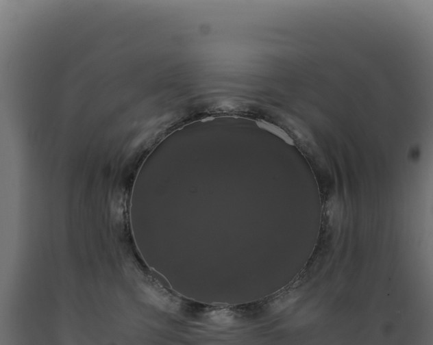 X0000089950423200707061124