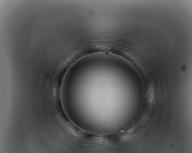 X0000089950424200707061124