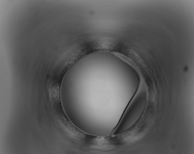 X0000089950425200707061124
