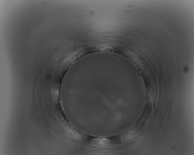 X0000089950427200707061124