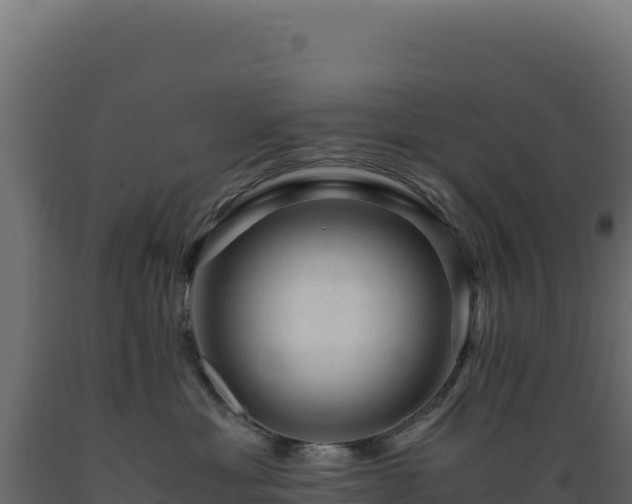 X0000089950429200707061124