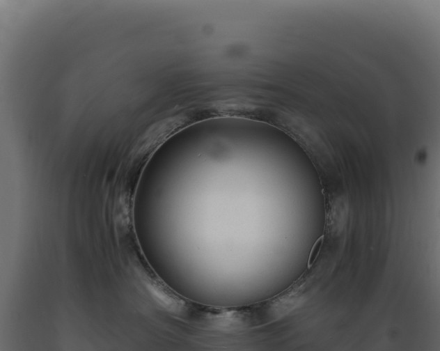 X0000089950430200707061124