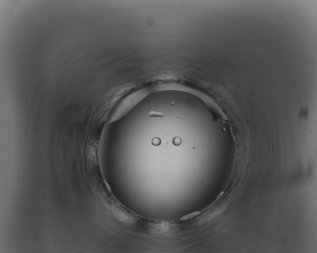 X0000089950432200707061124