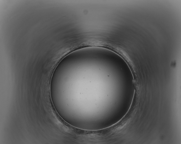 X0000089950433200707061123