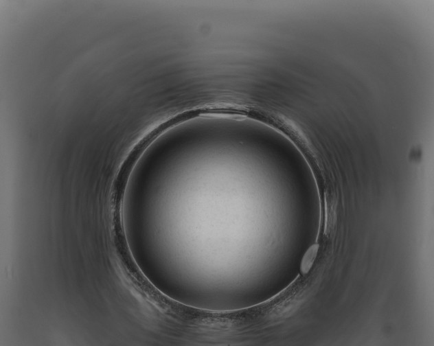 X0000089950435200707061123