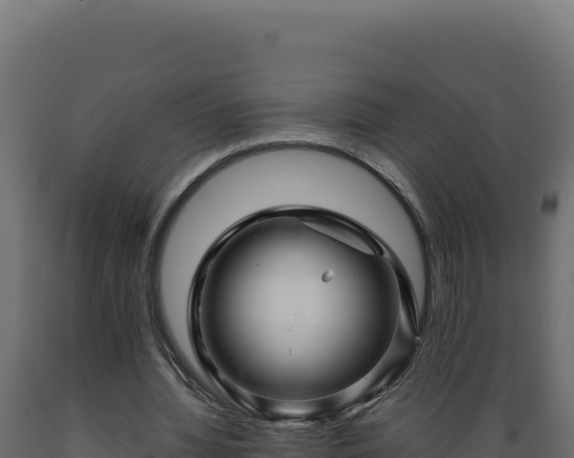 X0000089950436200707061123