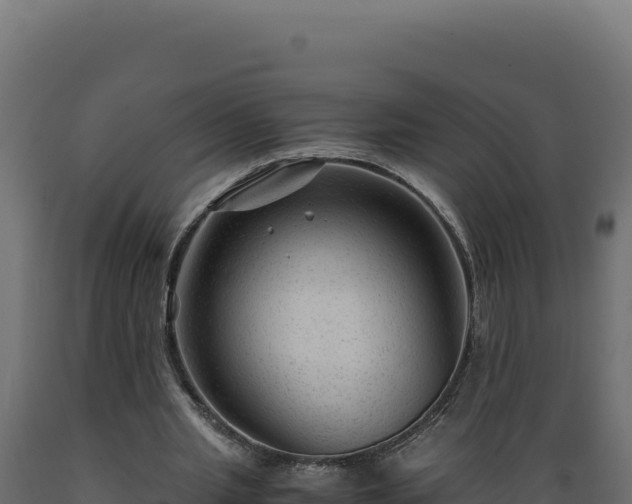 X0000089950437200707061123