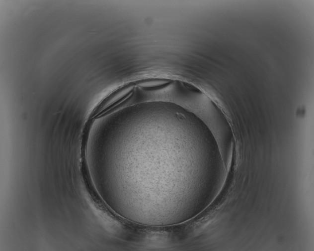 X0000089950438200707061123