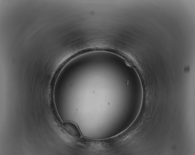 X0000089950439200707061123