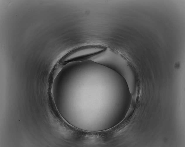 X0000089950440200707061123
