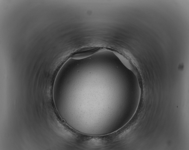 X0000089950441200707061123