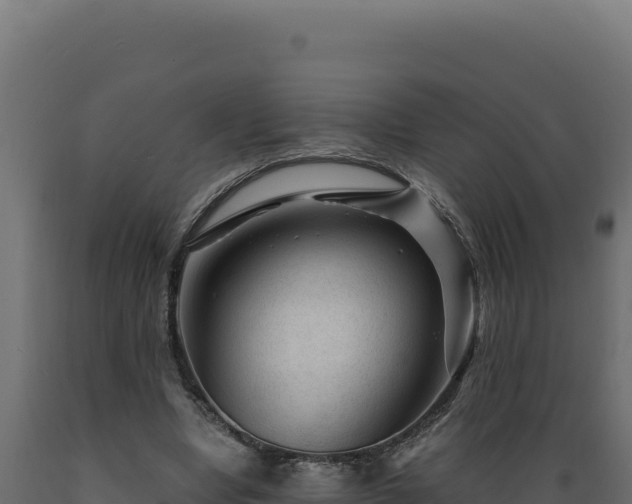 X0000089950442200707061123