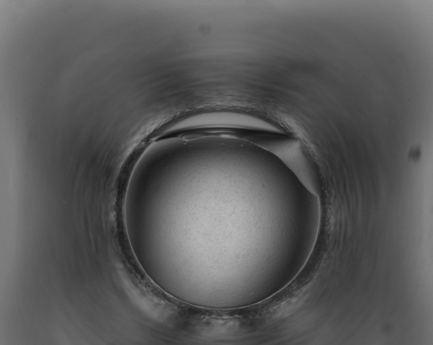 X0000089950443200707061123