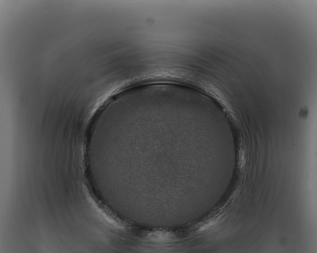 X0000089950444200707061123