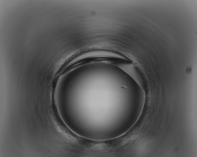 X0000089950446200707061124
