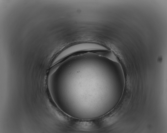 X0000089950449200707061124