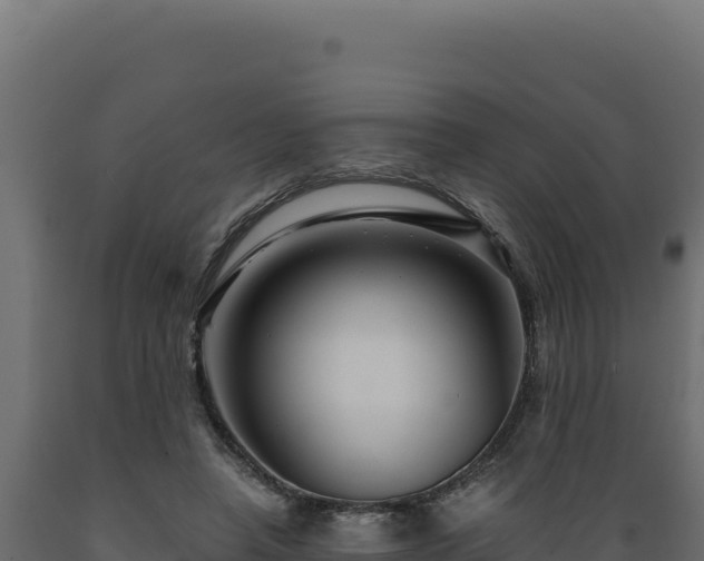 X0000089950450200707061124