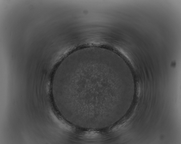 X0000089950451200707061124