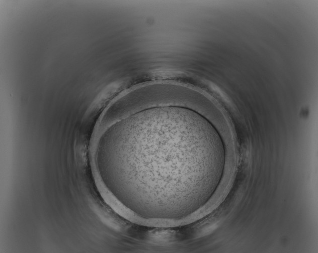 X0000089950452200707061124