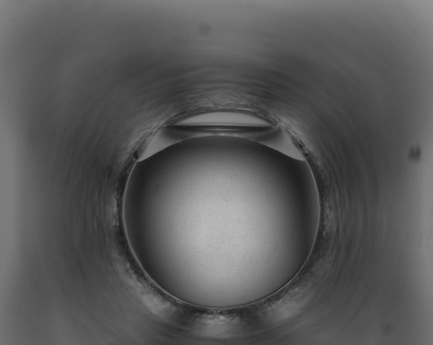 X0000089950453200707061124