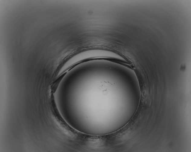 X0000089950454200707061124