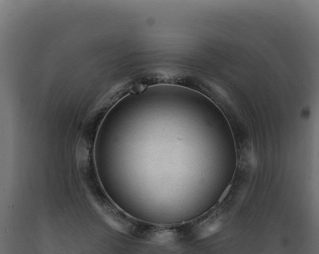 X0000089950456200707061124