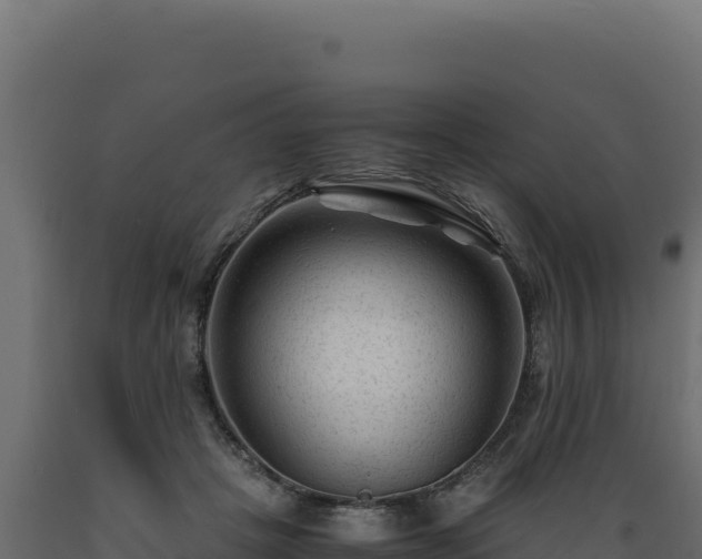 X0000089950457200707061124
