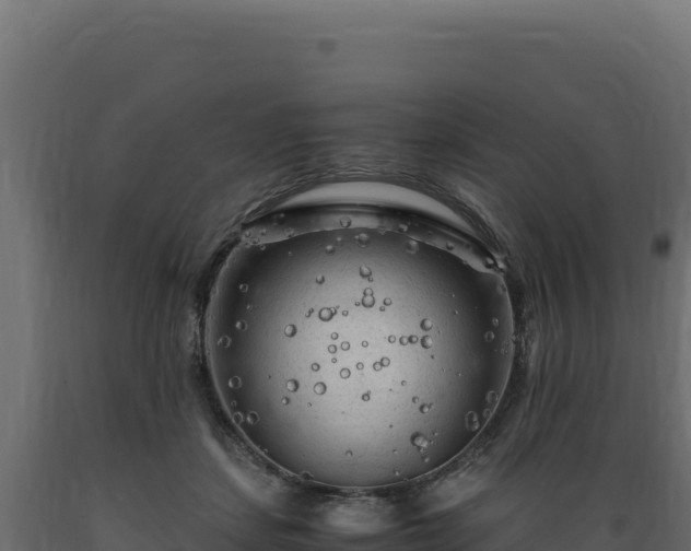 X0000089950459200707061124