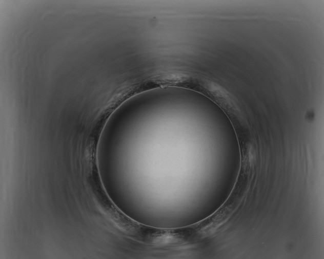 X0000089950460200707061124