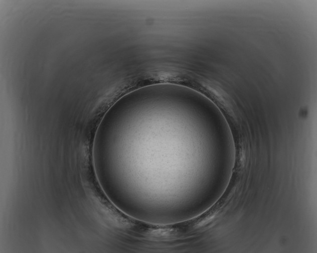 X0000089950461200707061124