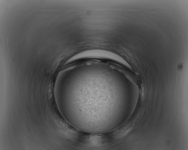 X0000089950462200707061124
