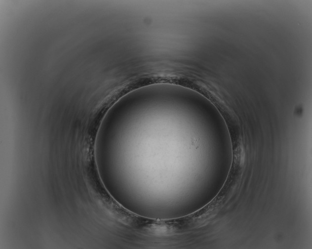 X0000089950464200707061124