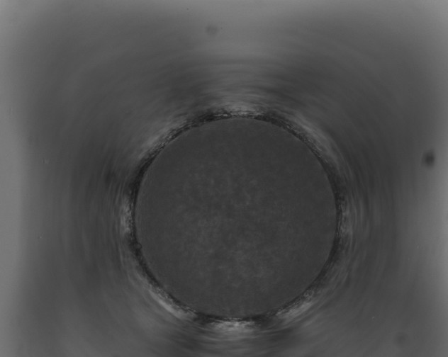 X0000089950465200707061124