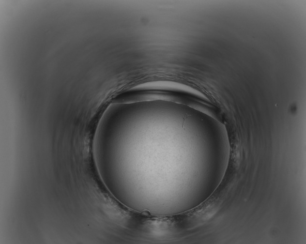 X0000089950466200707061124