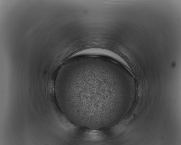 X0000089950467200707061124