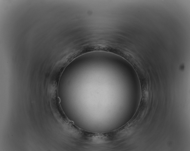 X0000089950468200707061124