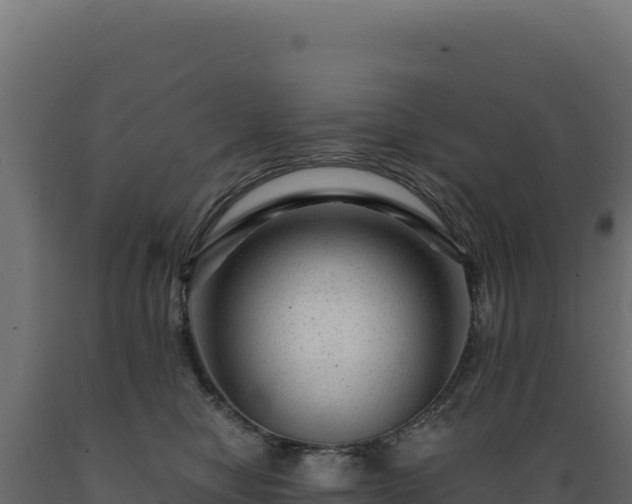 X0000089950470200707061124