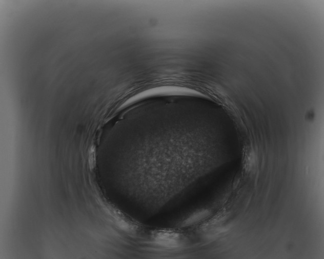 X0000089950471200707061124