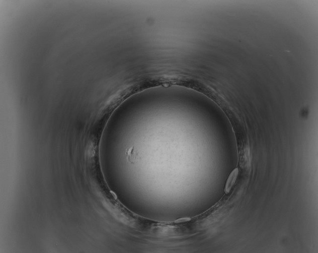X0000089950472200707061124
