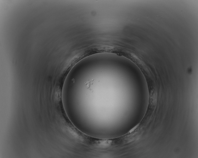 X0000089950474200707061124