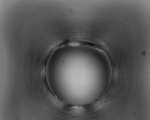 X0000089950477200707061124
