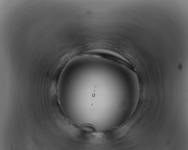 X0000089950478200707061124