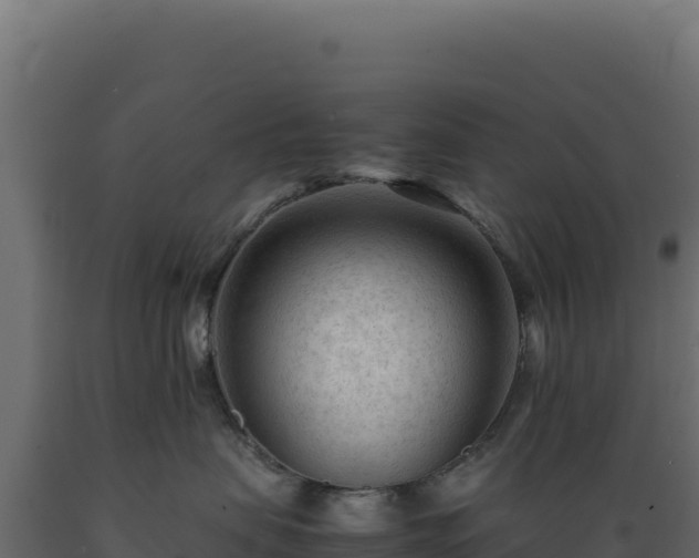 X0000089950479200707061124