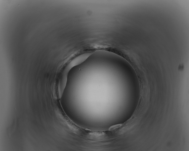 X0000089950480200707061124