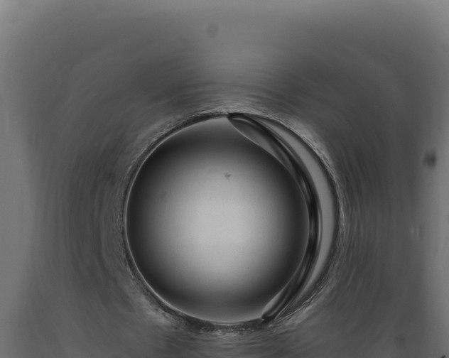 X0000089950481200707061123