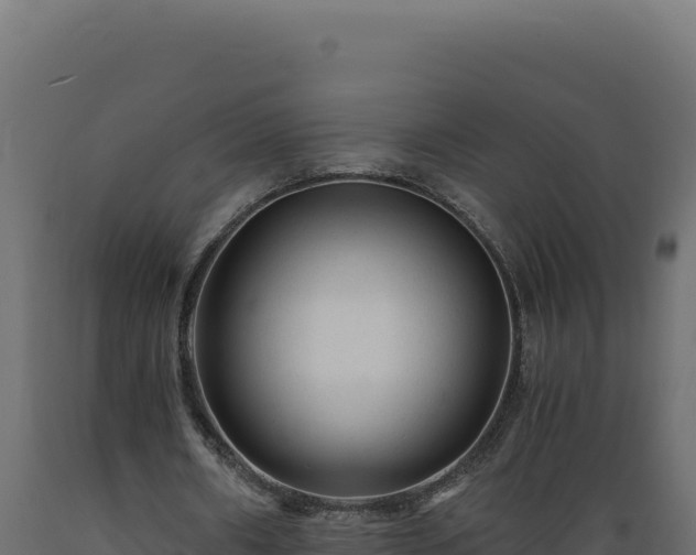 X0000089950482200707061123