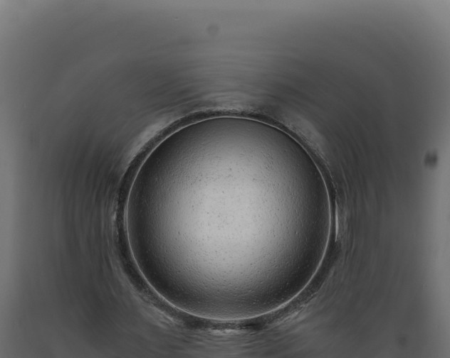 X0000089950483200707061123
