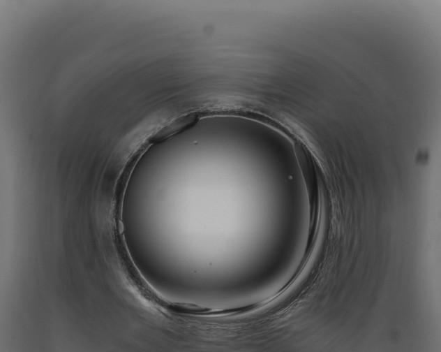 X0000089950485200707061123