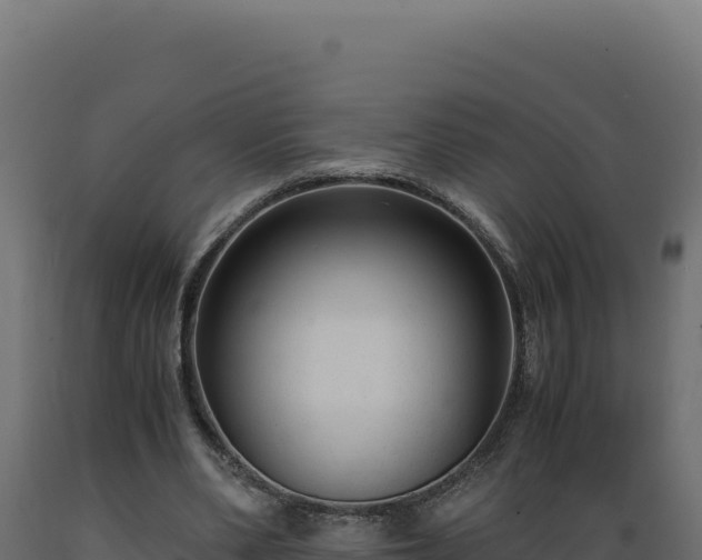 X0000089950486200707061123